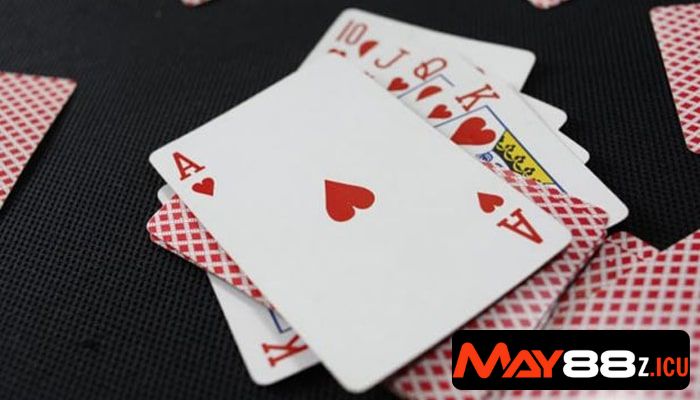 cách chưng bài Catte